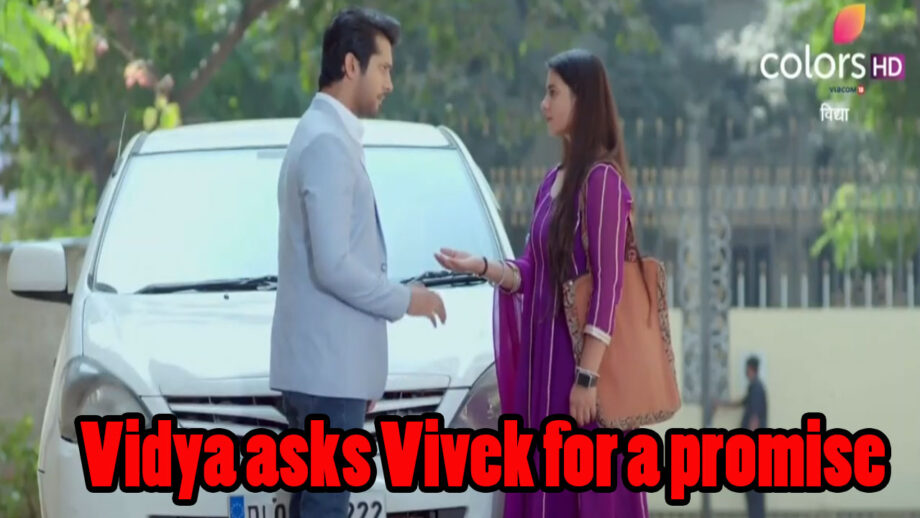 Vidya Written Episode Update 18th March 2020: Vidya asks Vivek for a promise