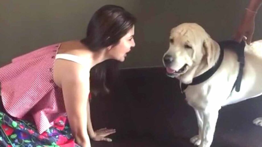 Anushka Sharma sings Ae Dil Hai Mushkil's song Bulleya for her dog is adorable, check video
