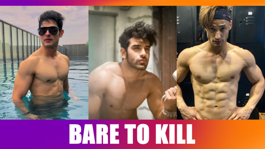 Asim Riaz, Paras Chhabra, Priyank Sharma: The Best Bare Body Hunk