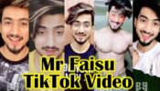 Faisu's Best Comedy Special TIKTOK Videos!