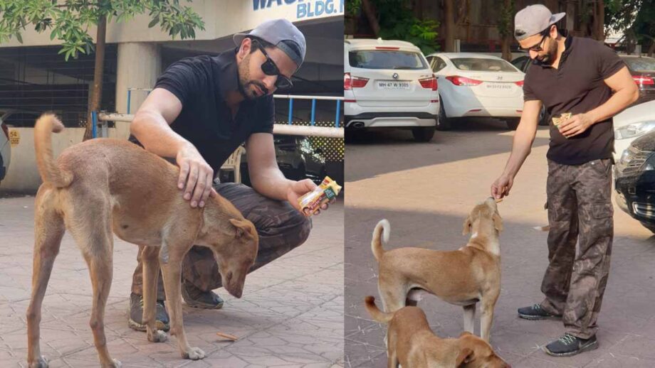 Here is what Kundali Bhagya actor Manit Joura doing for stray dogs during this COVID-19 Lockdown
