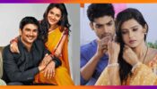Iconic Romantic Scenes of Pavitra Rishta's Manav and Archana vs Punar Vivah's Yash and Aarti: Rate The Best show