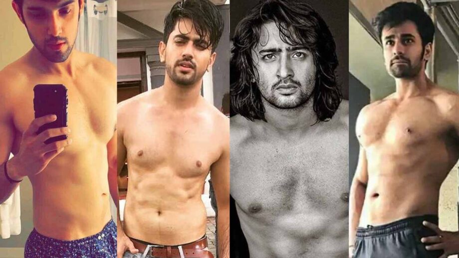 Parth Samthaan, Zain Imam, Shaheer Sheikh, Pearl V Puri: Actors and their HOT shirtless pictures