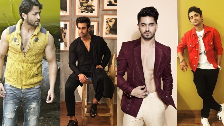 Shaheer Sheikh Vs Pearl V Puri Vs Zain Imam Vs Sumedh Mudgalkar: Who’s Dressing Style You Want To Add In Your Wardrobe?