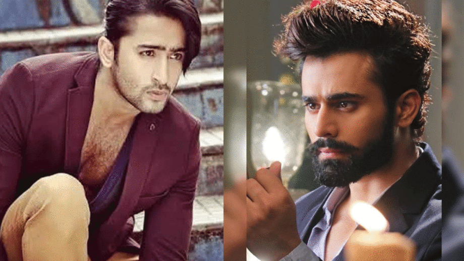Shaheer Sheikh Western And Pearl V Puri's Casual Outfit Ideas For Every Boy To Ace Up The Photoshoots!
