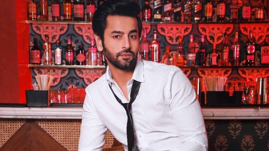 The utmost sincerity of my work determines my success: Shashank Vyas