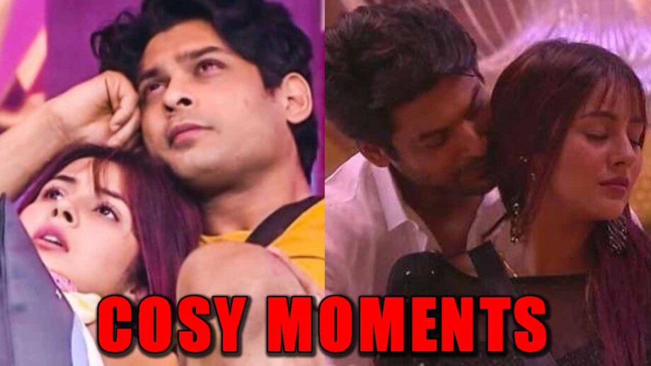 Watch Now: Sidharth Shukla and Shehnaaz Gill's best COSY moments 2