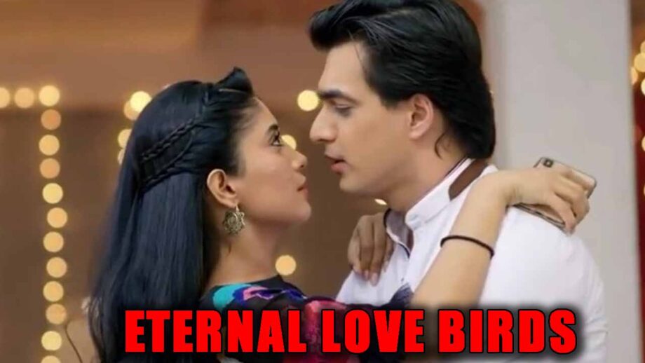 Yeh Rishta Kya Kehlata Hai: Kartik and Naira – eternal love birds!