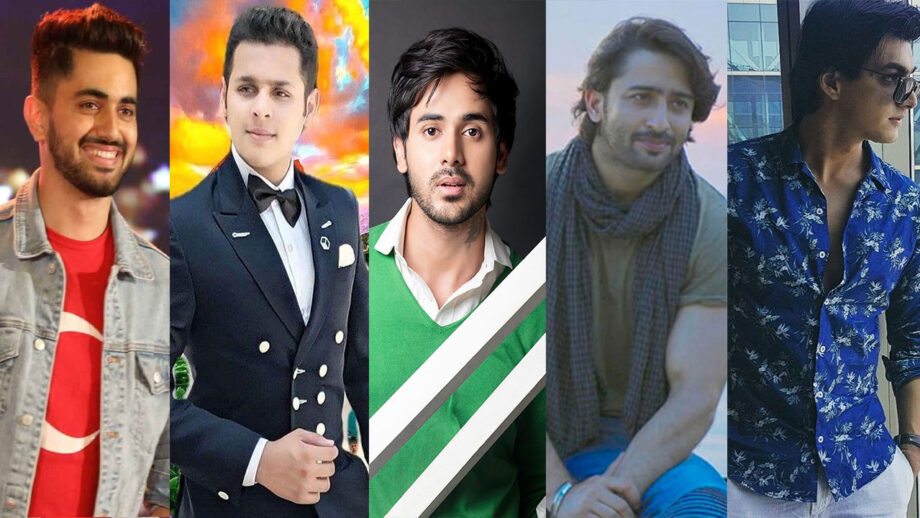 Zain Imam, Dev Joshi, Randeep Rai, Shaheer Sheikh, Mohsin Khan: Be It Summers Or Winters; These Styles Are Still A Go-To Pick