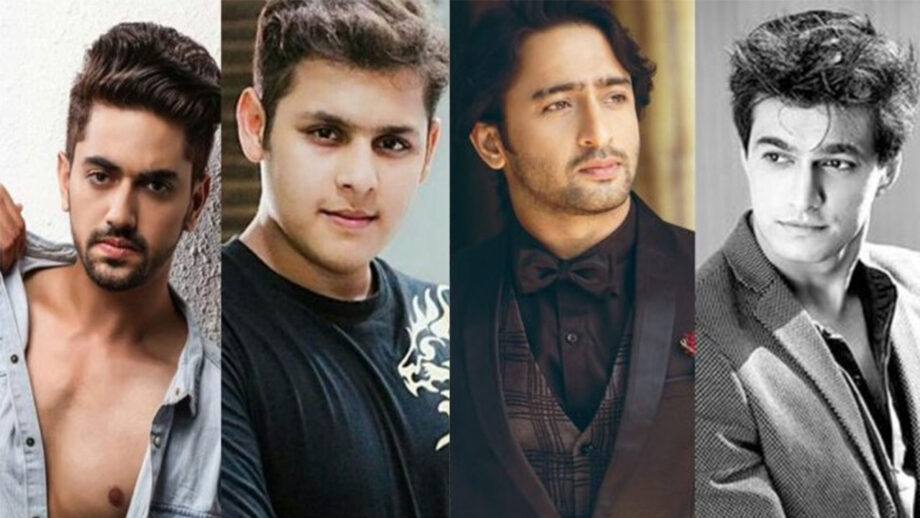 Zain Imam, Dev Joshi, Shaheer Sheikh, Mohsin Khan: TV Celebrities And Their Famous Tiktok Videos