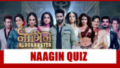 Big Fan Of Naagin: Take This Difficult Quiz