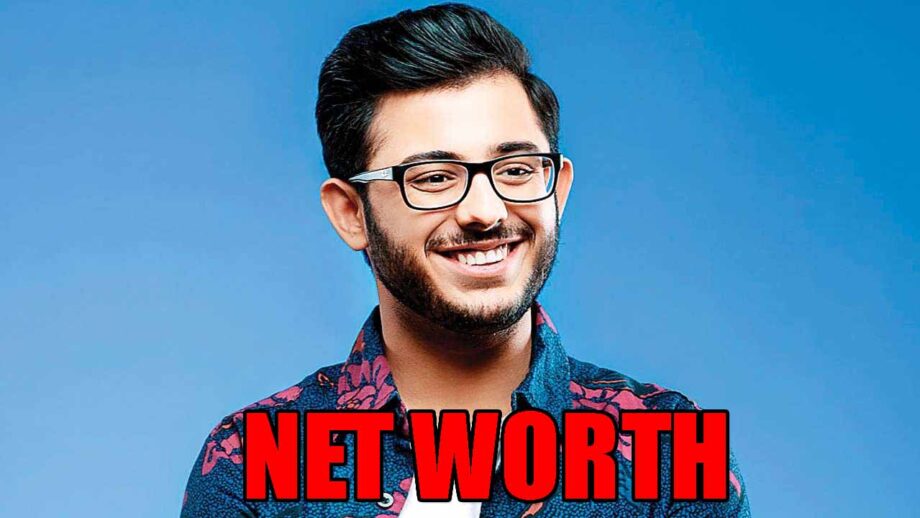 CarryMinati Real Net Worth Revealed
