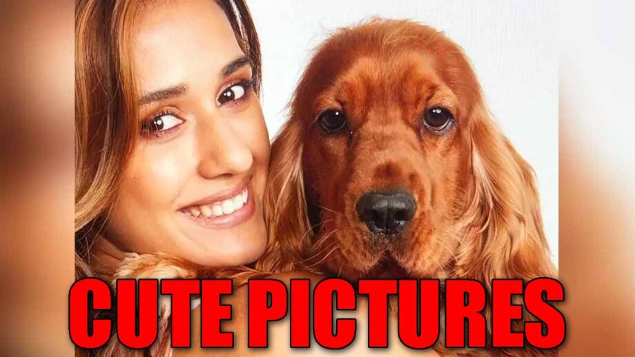 Disha Patani's Bella cutest pictures are the best thing on internet today