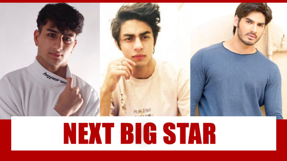 Ibrahim Ali Khan Vs Aaryan Khan Vs Ahan Shetty: Which Bollywood Kid Will Be The Next Big Star?