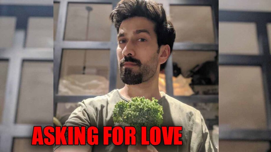 Ishqbaaaz star Nakuul Mehta is asking for LOVE, find out here