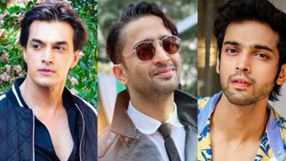 Mohsin Khan Vs Parth Samthaan Vs Shaheer Sheikh: Which TV Actor Would You Like To Work With?