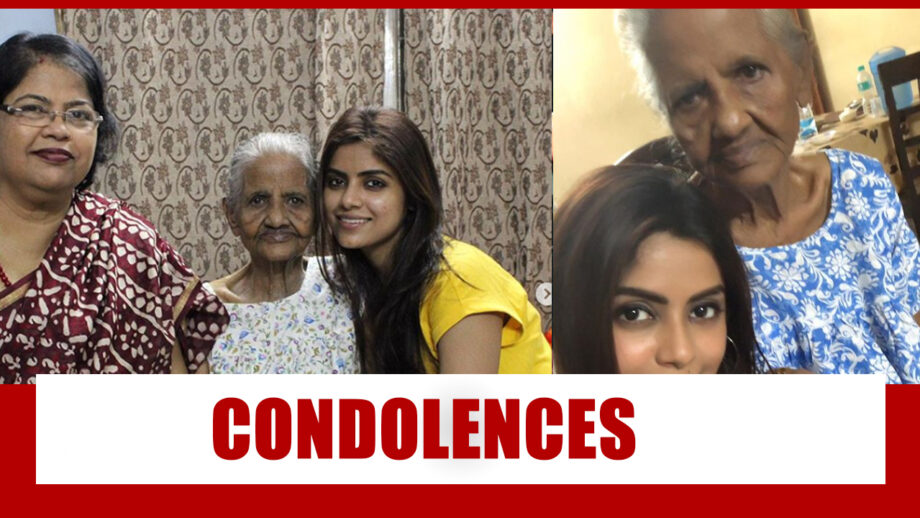 Naagin 4 actress Sayantani Ghosh’s grandmother passes away