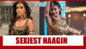 Nia Sharma Vs Mouni Roy: The Sexiest Naagin