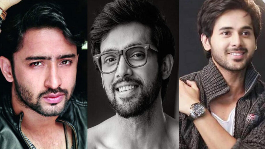 Parth Samthaan, Shaheer Sheikh, Randeep Rai: TV Actors Who Are Killing It With Their Budget-Friendly Fashion! 1