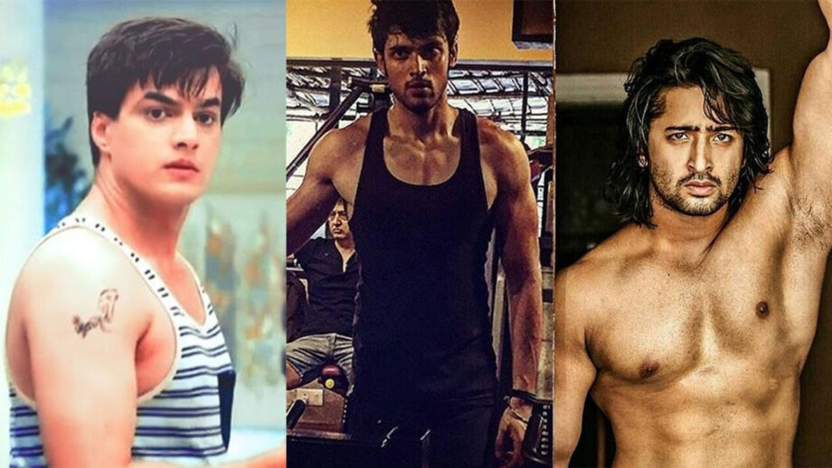 Parth Samthaan Vs Mohsin Khan Vs Shaheer Sheikh: Who's Your Fitness Icon?