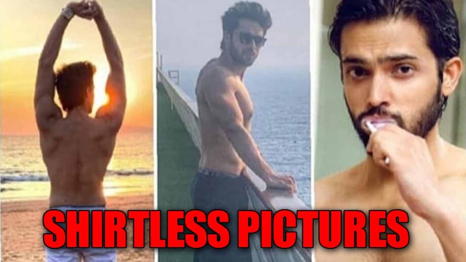 Parth Samthaan's Shirtless Pictures Takes Social Media By Storm