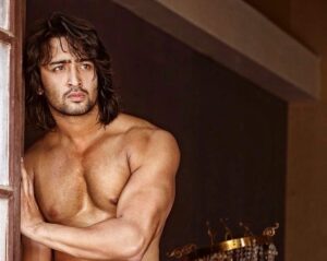 Pearl V Puri And Shaheer Sheikh’s Shirtless Looks Are Too Hot To Handle 5