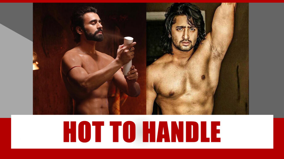 Pearl V Puri And Shaheer Sheikh’s Shirtless Looks Are Too Hot To Handle