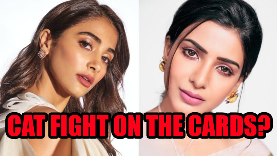 Pooja Hegde Vs Samantha Akkineni - The next big 'CAT FIGHT' in the South industry 1