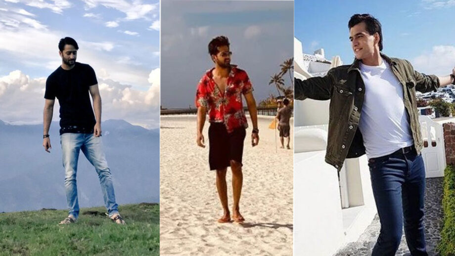 Randeep Rai, Mohsin Khan, Shaheer Sheikh: TV Actors And Their Exotic Holiday Pictures 6