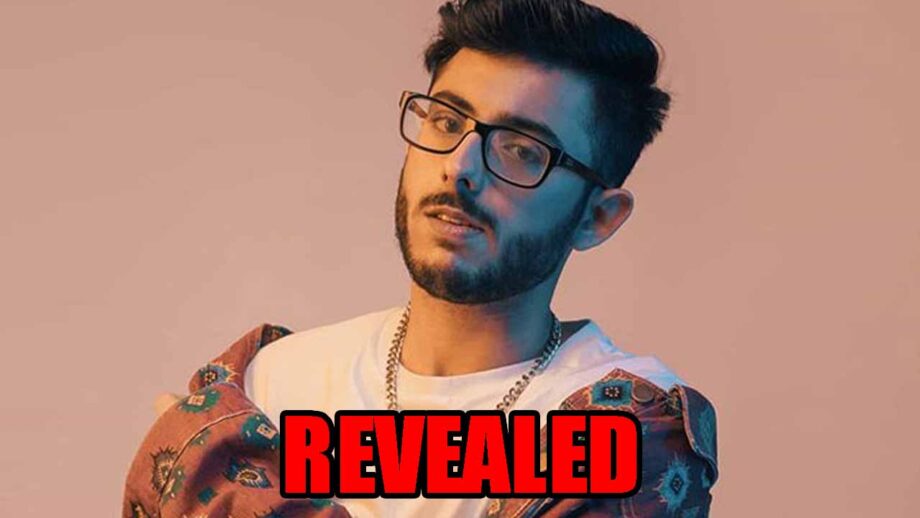 REVEALED! CarryMinati's Education And Other Details