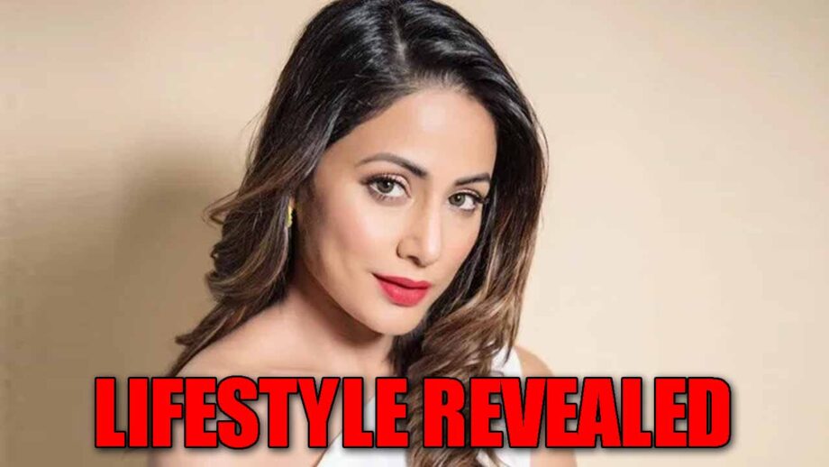 Revealed: Lifestyle of TV queen Hina Khan