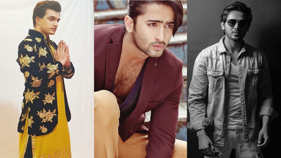 Shaheer Sheikh, Randeep Rai, And Mohsin Khan: Who Sets Off-Beat Fashion Trends?