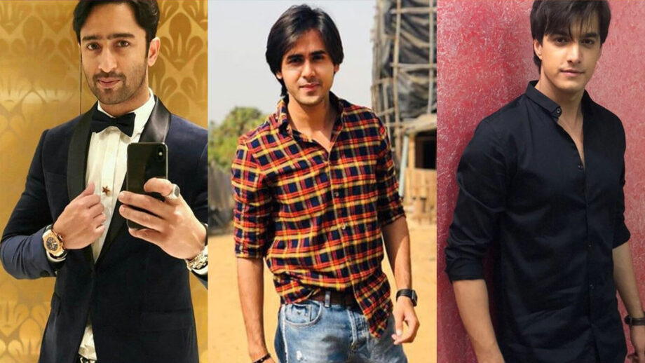 Shaheer Sheikh, Randeep Rai, Mohsin Khan: Television Actors And Their Famous Show Characters 3