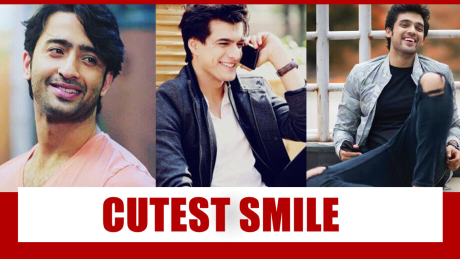 Shaheer Sheikh Vs Mohsin Khan Vs Parth Samthaan: The Actor With The Cutest Smile?