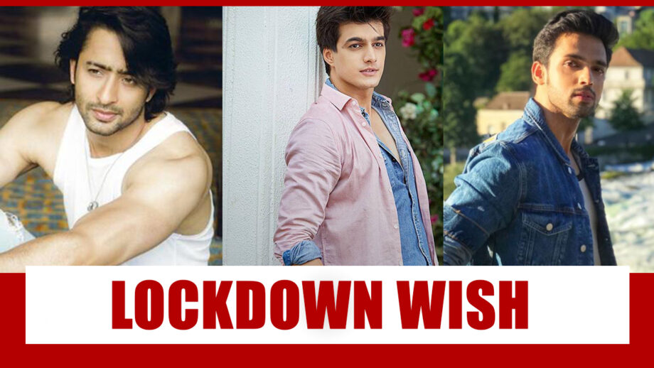 Shaheer Sheikh Vs Mohsin Khan Vs Parth Samthaan: Who Do You Want To Get Locked With During Quarantine?