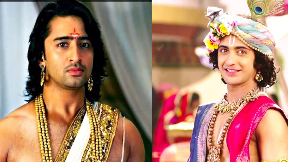 Shaheer Sheikh's Arjun VS Sumedh Mudgalkar's Krishn: Which Is Your Favourite Historical Character?