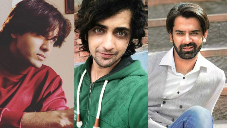 Sumedh Mudgalkar, Randeep Rai, Barun Sobti: Who Looks Cool In Long Hair?