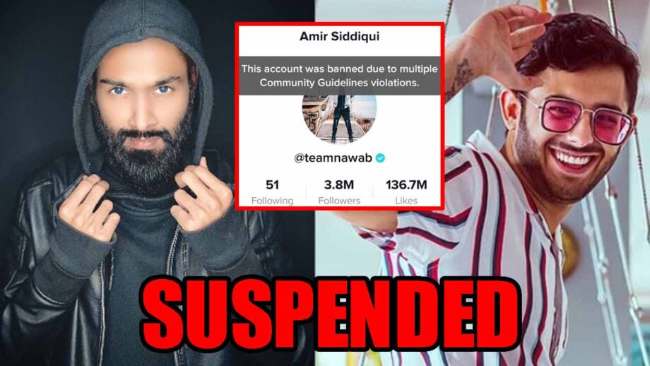 TikTok VS YouTube Controversy: Amir Siddiqui's TikTok account suspended, is CarryMinati happy? 1
