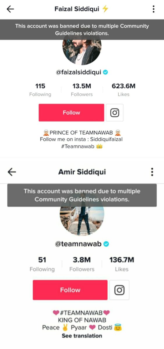 TikTok VS YouTube Controversy: Amir Siddiqui's TikTok account suspended, is CarryMinati happy?