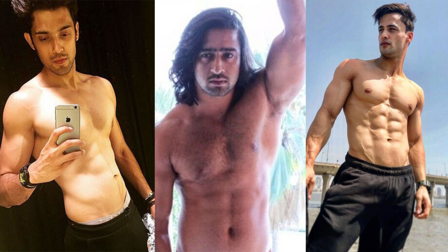Tips Behind Parth Samthaan, Asim Riaz And Shaheer Sheikh's Crazy Ripped BODY