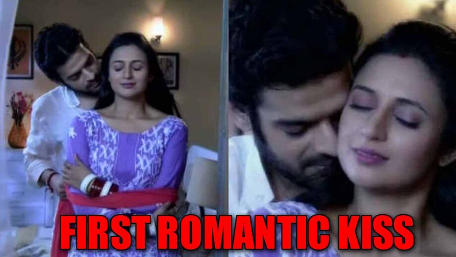 Yeh Hai Mohabbatein: Raman and Ishita's first romantic kissing scene