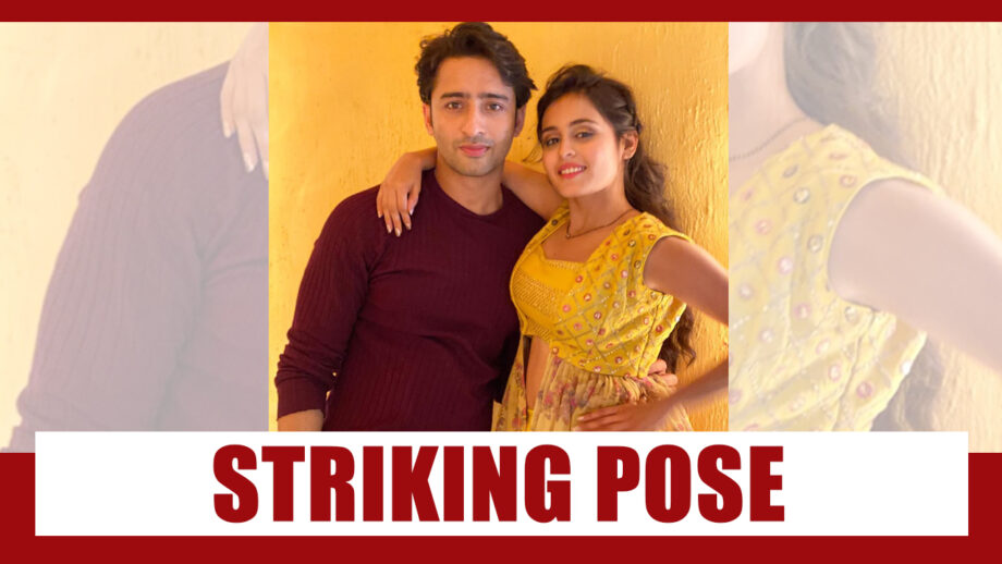 Yeh Rishtey Hain Pyaar Ke: Abir and Mishti’s ‘nostalgic’ striking pose