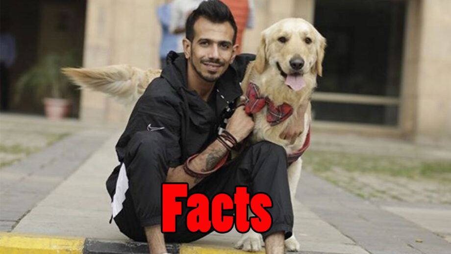 10 facts about Yuzvendra Chahal