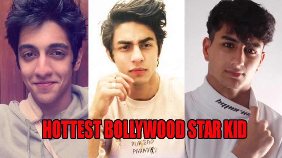 Ahaan Panday, Aaryan Khan, Ibrahim Ali Khan: The HOTTEST Bollywood Male Star Kids