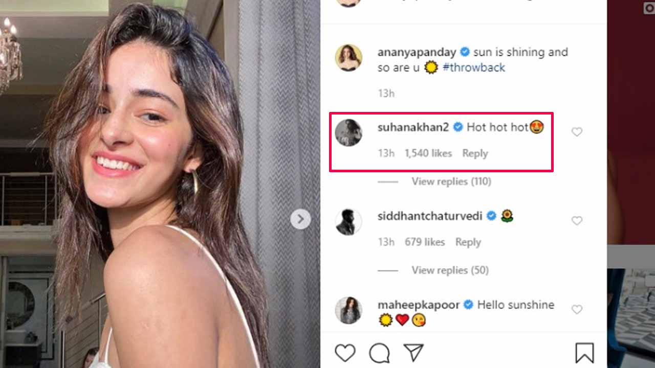 Ananya Panday shares stunning 'sun-kissed picture', Suhana Khan comments 'hot hot hot' 1