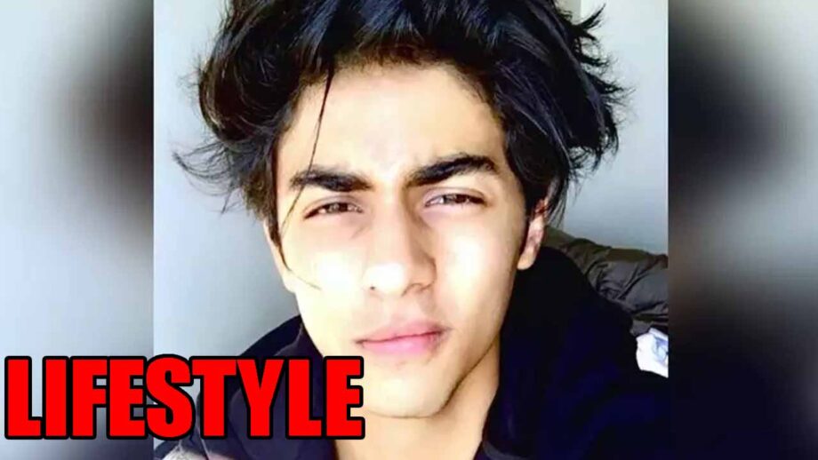 Aryan Khan's Real Lifestyle REVEALED!