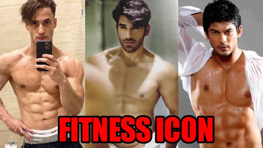 Asim Riaz VS Paras Chhabra VS Sidharth Shukla: Who's Your Favourite Fitness Icon?