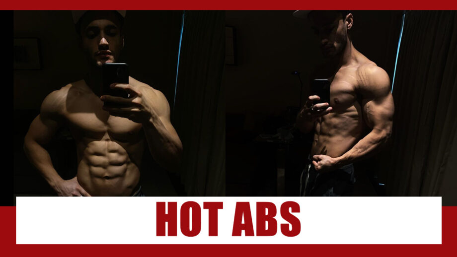 Asim Riaz flashes his toned ‘six-pack’ abs; breaks the internet