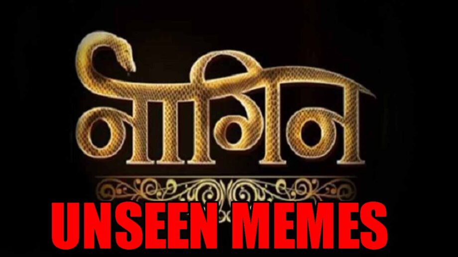 Best unseen memes of Naagin series for is fans