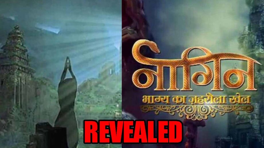 Big details about Naagin 5 show revealed